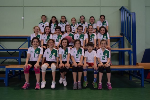 minivolley.jpg
