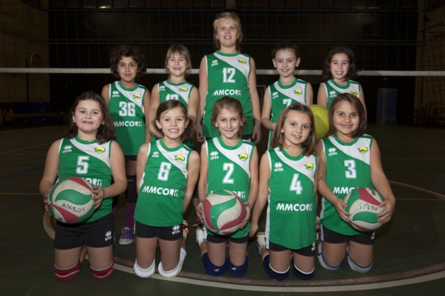 minivolley.jpg