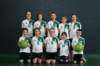 minivolley_small.jpg