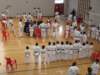 img_4069_small.jpg