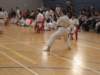 img_4150_small.jpg