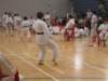 img_4151_small.jpg