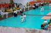 dsc_0062_small.jpg
