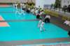 dsc_0073_small.jpg