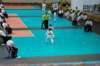 dsc_0076_small.jpg