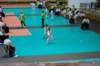 dsc_0078_small.jpg