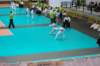 dsc_0082_small.jpg