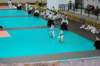 dsc_0088_small.jpg