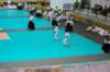 dsc_0089_small.jpg