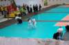 dsc_0128_small.jpg