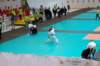 dsc_0133_small.jpg