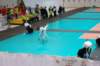 dsc_0134_small.jpg