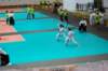 dsc_0138_small.jpg