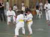 img_0060_small.jpg